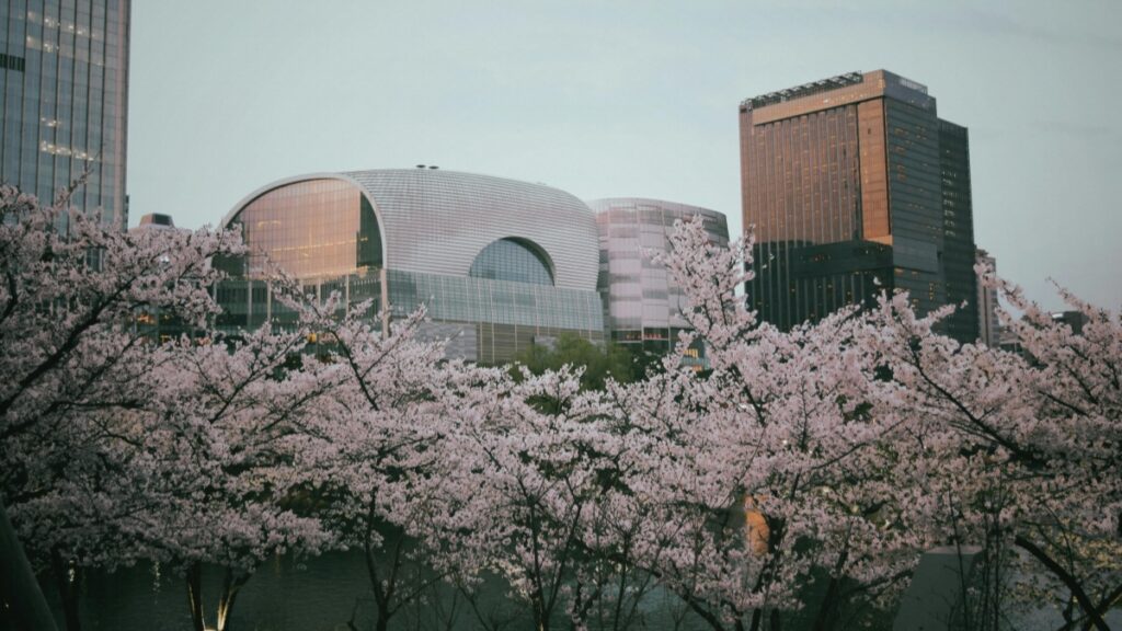 How Côte d'Ivoire Twitter bloggers can collaborate with Senegal advertisers in 2025