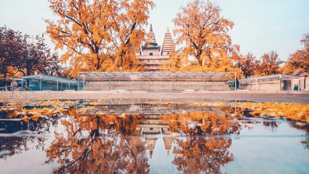 How Côte dIvoire Twitter bloggers can collaborate with Brazil advertisers in 2025