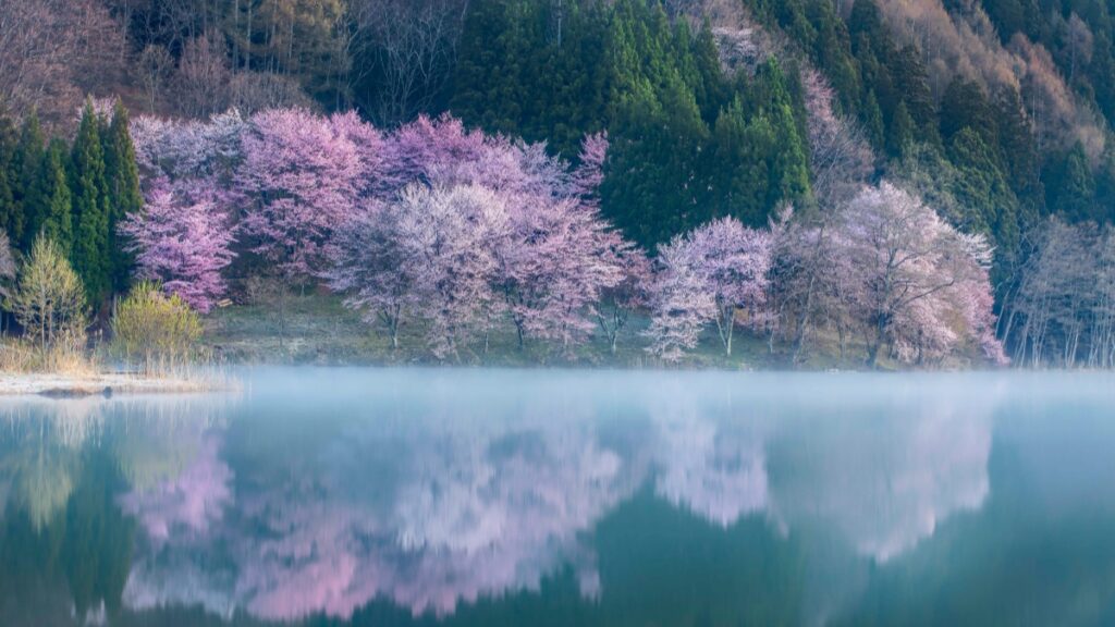 How Côte dIvoire Twitter bloggers can collaborate with China advertisers in 2025