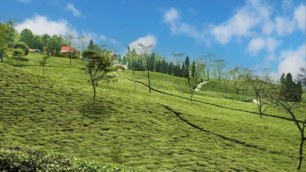 2025 Spain Instagram AllCategory Advertising Rate Card for Côte dIvoire