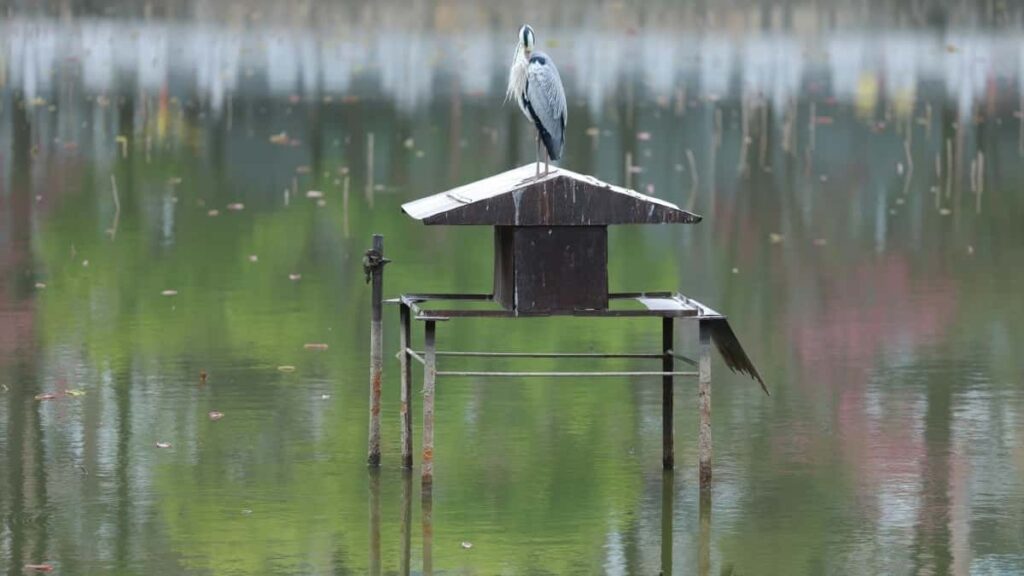 2025 Portugal Twitter AllCategory Advertising Rate Card Côte d'Ivoire