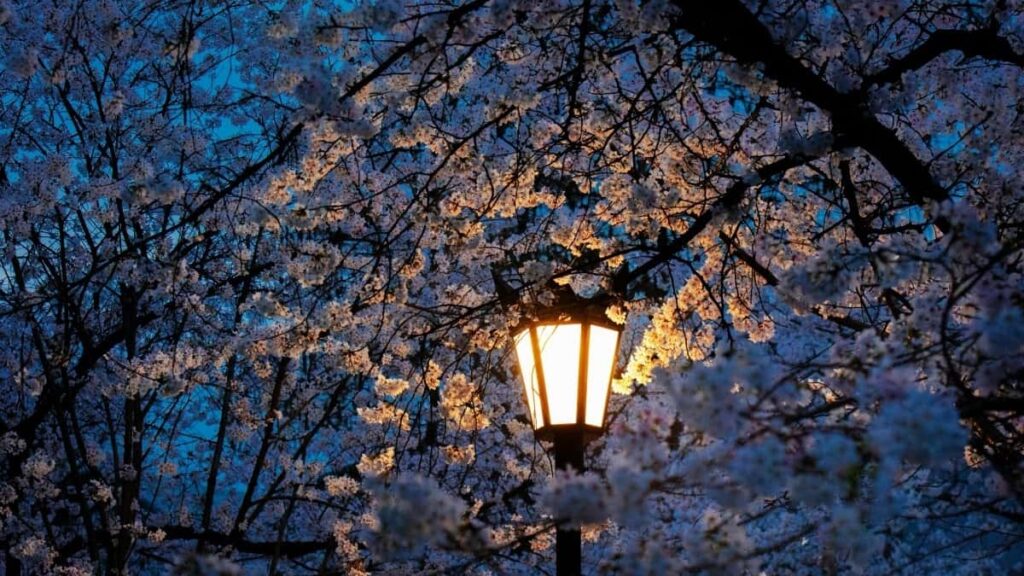 2025 Russia YouTube Advertising Rate Card dla Côte dIvoire