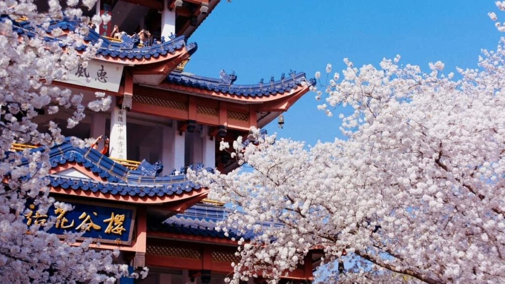 2025 Belgium Telegram Tɔgɔrɛ Kɔlɔgɔni Fɔrɔni Kɛnɛ Yɛlɛman