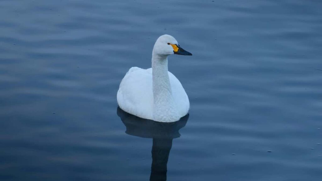 2025 United Kingdom LinkedIn AllCategory Advertising Rate Card Côte dIvoire