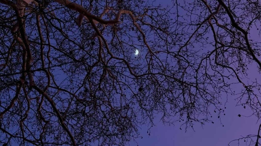 2025 Germany Pinterest All Category Advertising Rate Card Côte dIvoire