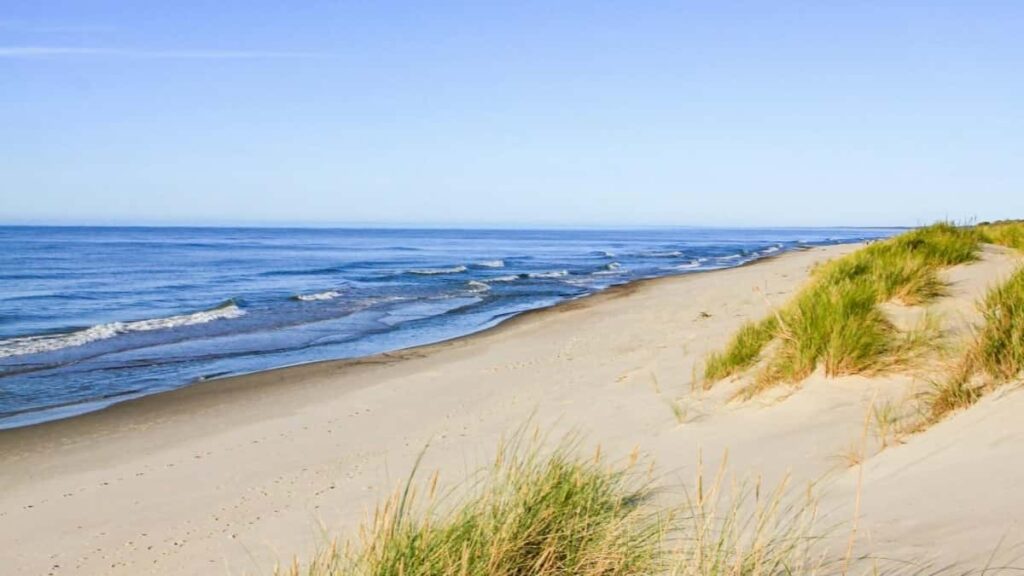 2025 Brazil TikTok AllCategory Advertising Rate Card Côte dIvoire