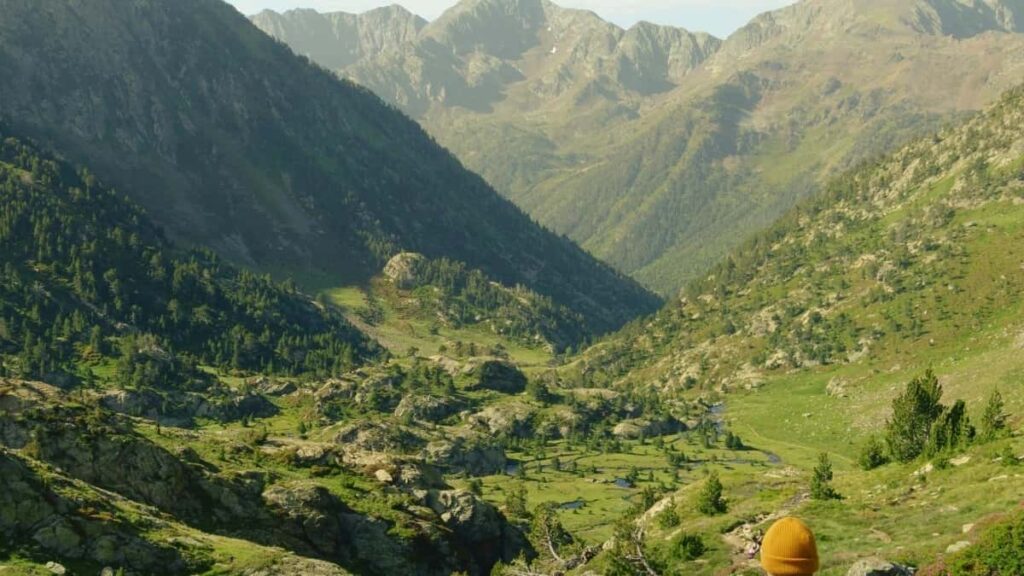 2025 Sweden TikTok Tɛmɛnɛ Fɔlɔ Kɛri Côte dIvoire Kɔrɔkɛ