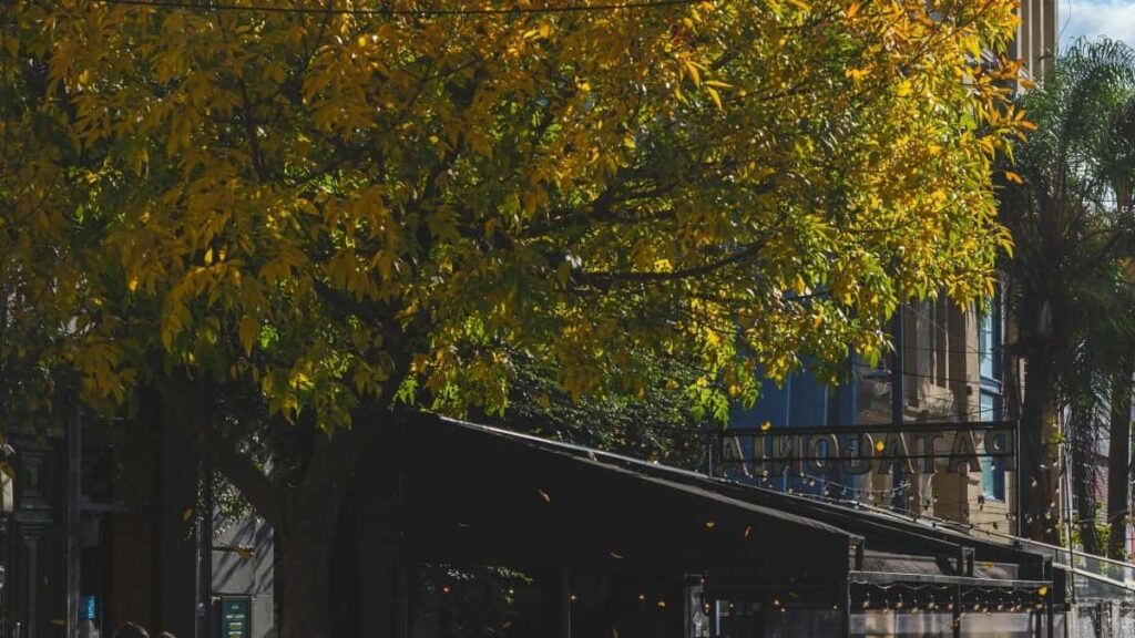 Egypt Twitter Advertising Rate Card 2025 Côte dIvoire View