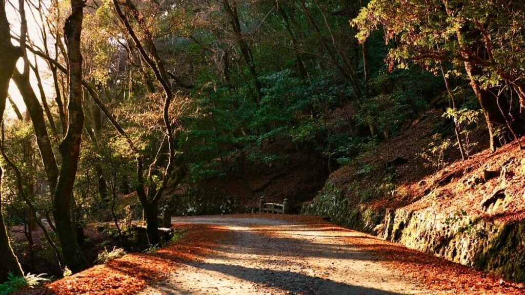 How Côte dIvoire WhatsApp bloggers can collaborate with Spain advertisers in 2025