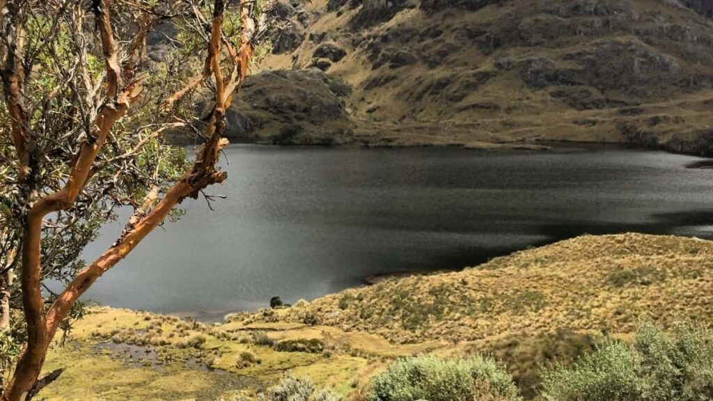 2025 Belgium LinkedIn Advertising Rate Card Côte dIvoire View