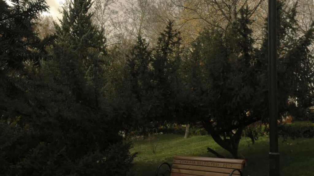 2025 Canada Instagram AllCategory Advertising Rate Card Côte dIvoire