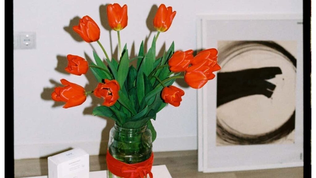 How Côte dIvoire Twitter bloggers can work with South Africa advertisers in 2025