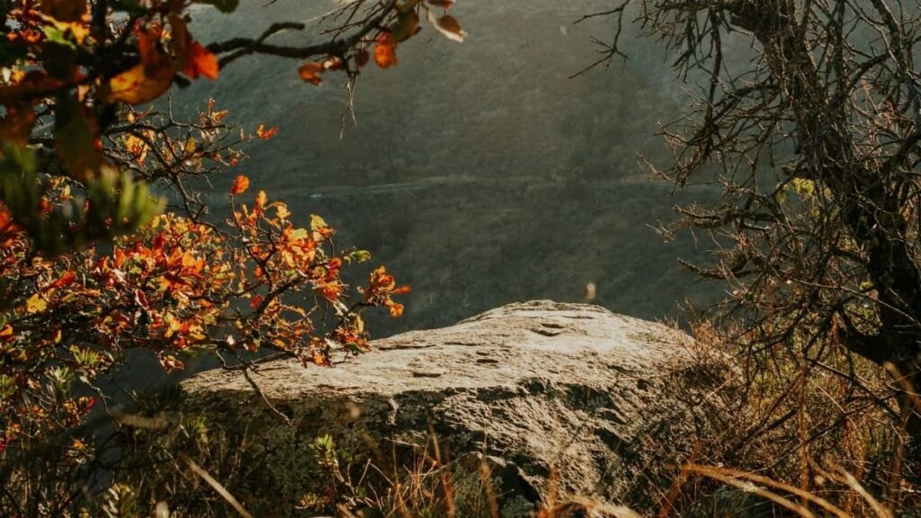 2025 France LinkedIn AllCategory Advertising Rate Card pour Côte dIvoire