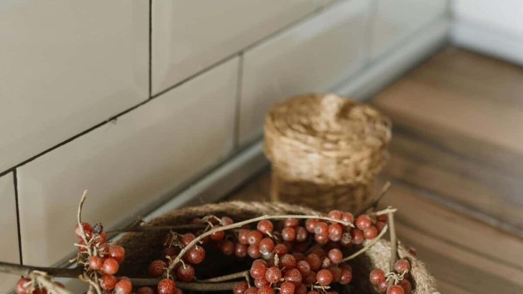 2025 Russia YouTube AllCategory Advertising Rate Card Côte dIvoire