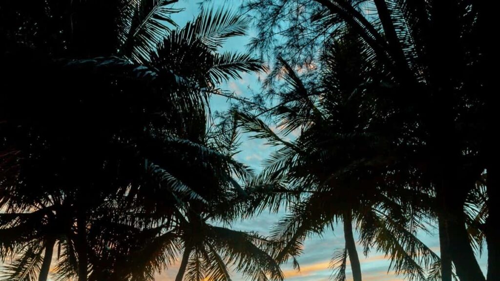 2025 China YouTube AllCategory Advertising Rate Card for Côte dIvoire