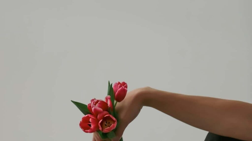 2025 Norway Snapchat Advertising Rate Card pour Côte dIvoire