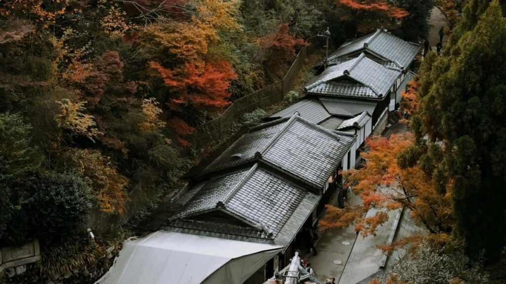 2025 United States Telegram All Category Advertising Rate Card for Côte dIvoire