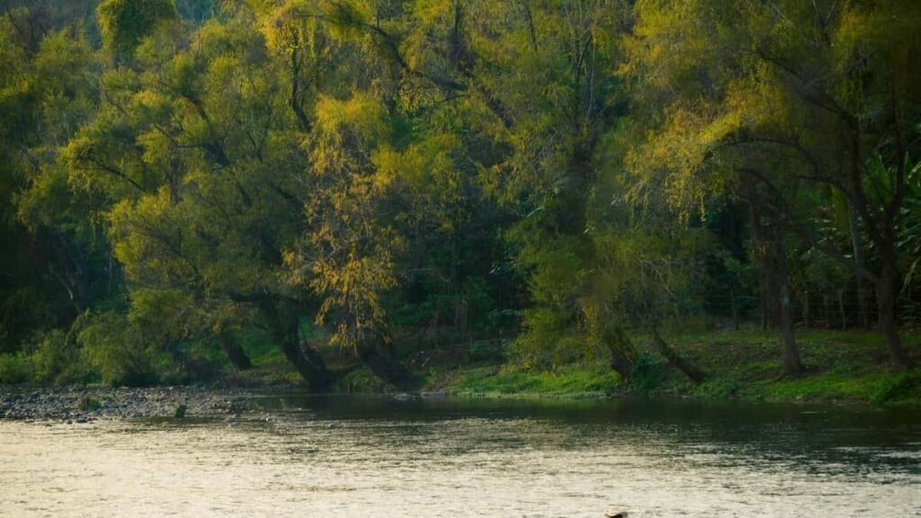 2025 Canada Snapchat AllCategory Advertising Rate Card pour Côte dIvoire