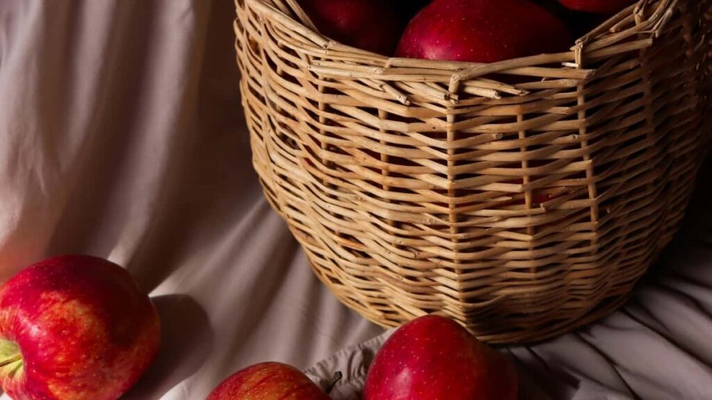 2025 Morocco Instagram AllCategory Advertising Rate Card for Côte dIvoire