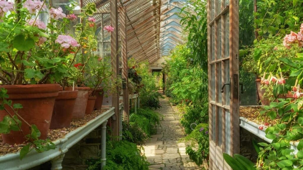 2025 Morocco TikTok AllCategory Advertising Rate Card for Côte dIvoire