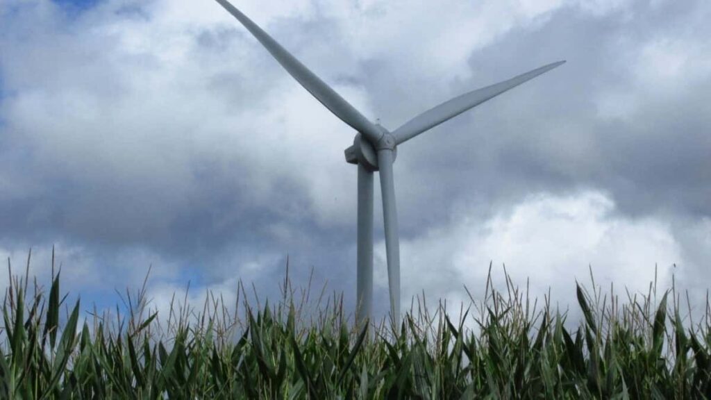 2025 Facebook Côte dIvoire ad rates Switzerland market insights