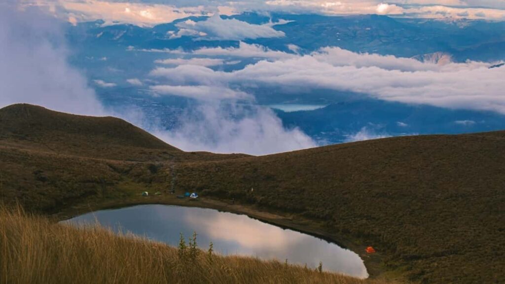 2025 Brazil Twitter Advertising Rates for Côte dIvoire Market