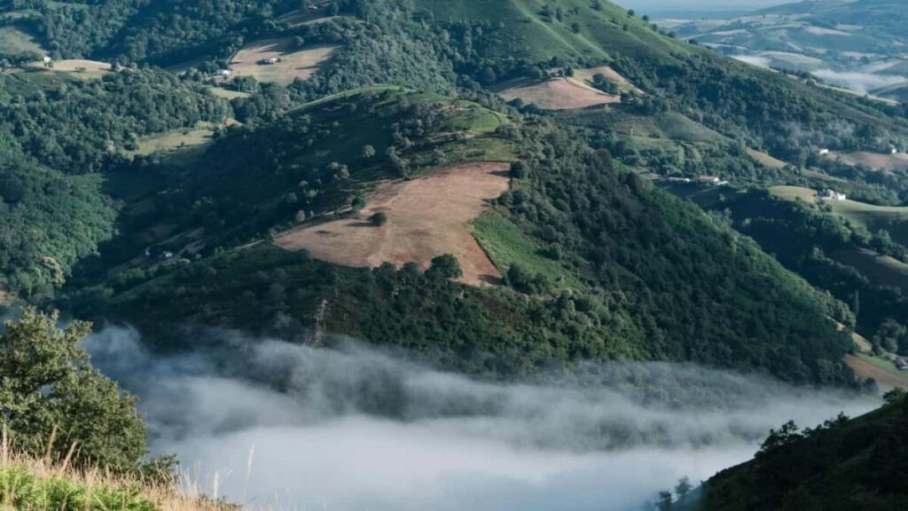 2025 Germany Twitter AllCategory Advertising Rate Card Analysis for Côte dIvoire