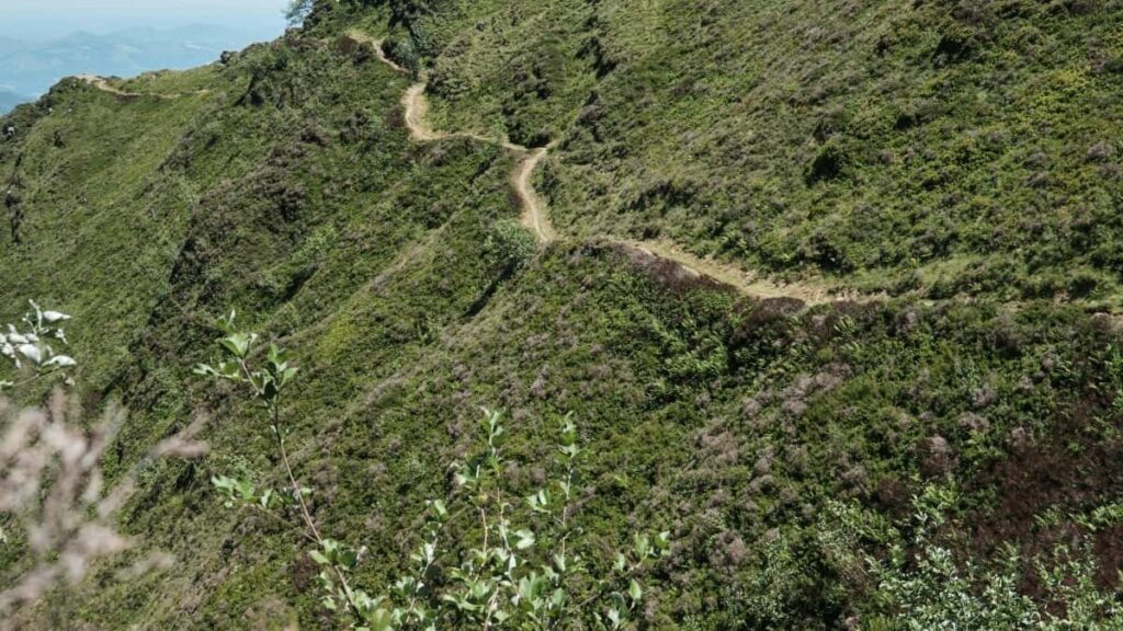 2025 United States TikTok AllCategory Advertising Rate Card Côte dIvoire