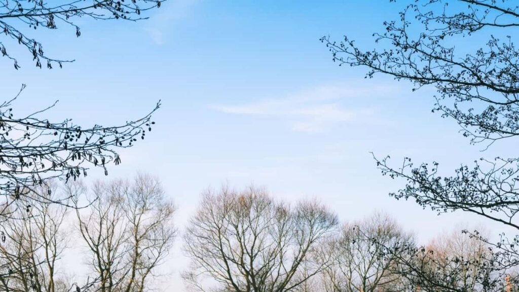 2025 Germany Snapchat AllCategory Advertising Rate Card for Côte dIvoire