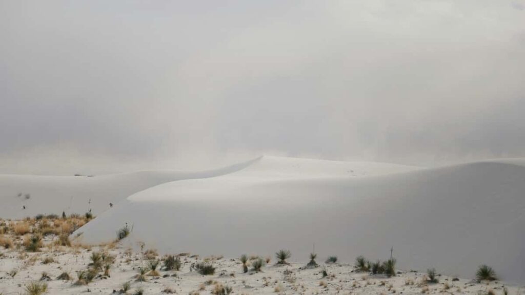 2025 South Korea TikTok Advertising Rate Card Côte dIvoire Perspective