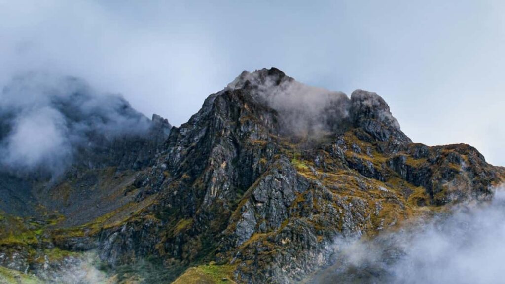 2025 Saudi Arabia Instagram Advertising Rate Card Côte d'Ivoire