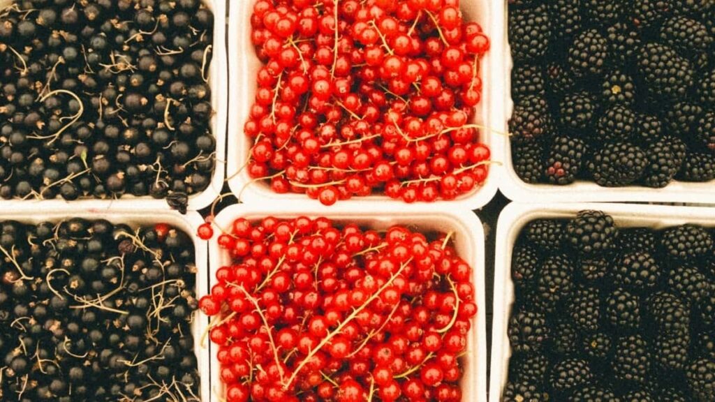 2025 Japan Instagram AllCategory Advertising Rate Card Côte dIvoire Guide