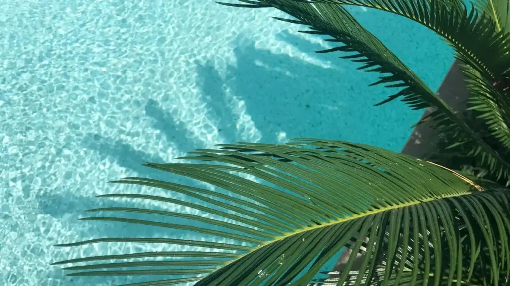 Apprends à toucher les marques belges sur Zalo et augmente les inscriptions à tes cours en ligne. Stratégies locales et astuces pratiques.