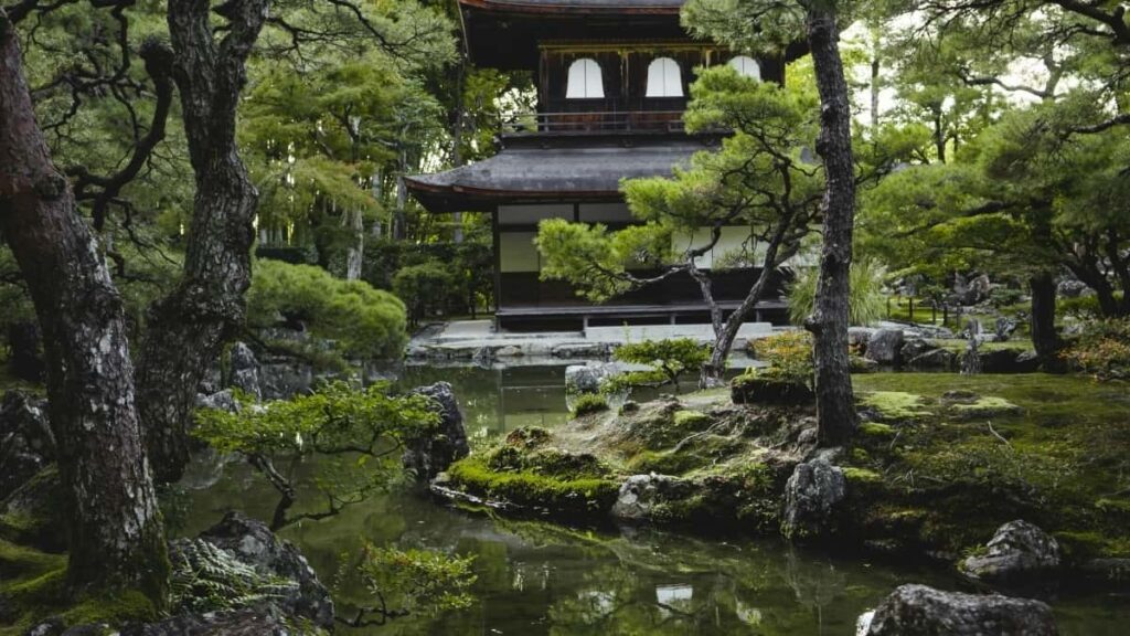 Découvre comment les créateurs de Côte d'Ivoire tirent profit de l'offre exclusive Chingari en Lithuania.