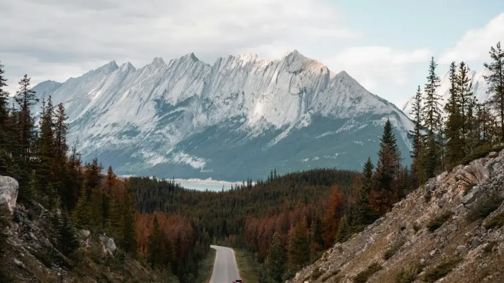 Guide pratique pour créateurs en Côte d'Ivoire qui veulent collaborer avec marques mexicaines sur Amazon pour booster musique en challenges.