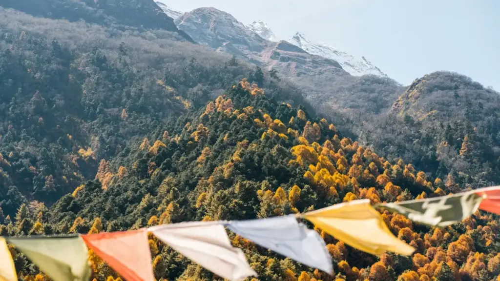 Guide pratique pour créateurs en Côte d'Ivoire : collaborer avec marques hongroises sur Amazon pour giveaways efficaces.