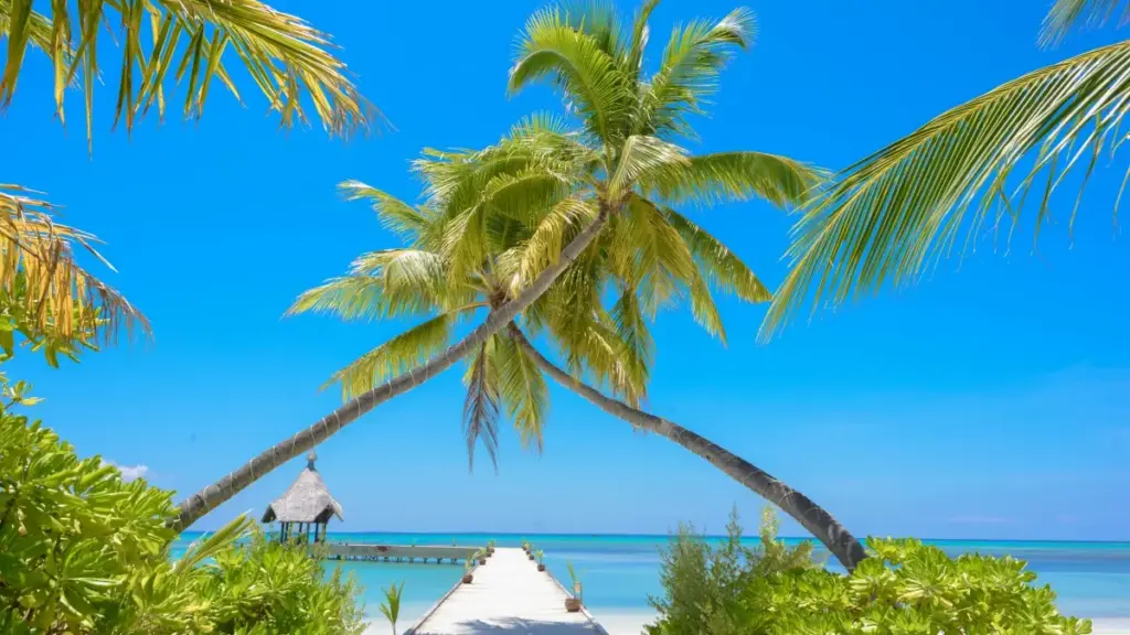 Guide pratique pour les annonceurs en Côte d'Ivoire : Comment dénicher des créateurs OnlyFans allemands et collaborer avec les meilleurs pour vos lignes de produits.