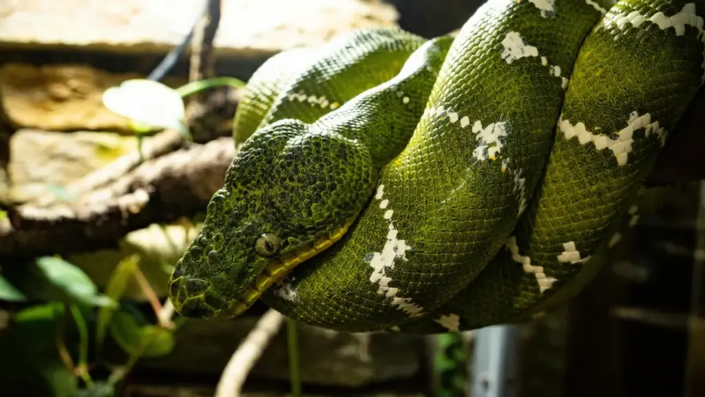 Guide pratique pour créateurs en Côte d'Ivoire: comment contacter marques de République dominicaine sur Moj pour filmer coulisses, en respectant la vie privée et les règles.