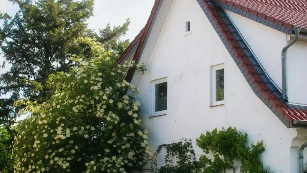 Kɛntɛ kɛ i be créatè an Côte d'Ivoire: mɔn fɔ a bɛ atiré marques Autriche su Viber pou kolabore a défì gameplay. Tùnɛ kà kɔnɛn, taktika, ékzanp, é MaTitie VPN conseil.