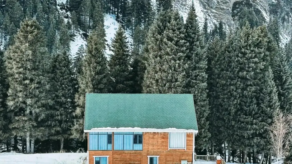 |- I ni ce — wɛrɛ la: Kifɛra ka sisan i bɛ jigi Belgique Disney Plus kreator fila, ka fɔ fan kun bɛ sigi sugu ka di i fɛnɛ.