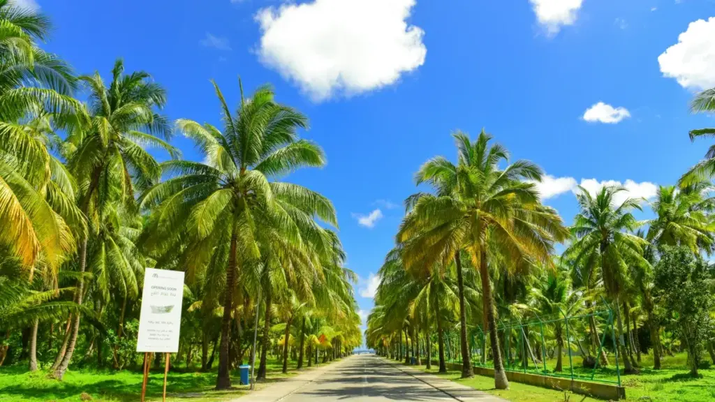 Découvrez comment les créateurs ivoiriens peuvent toucher les marques turques sur Twitter et booster leurs partenariats avec les éditeurs de jeux.