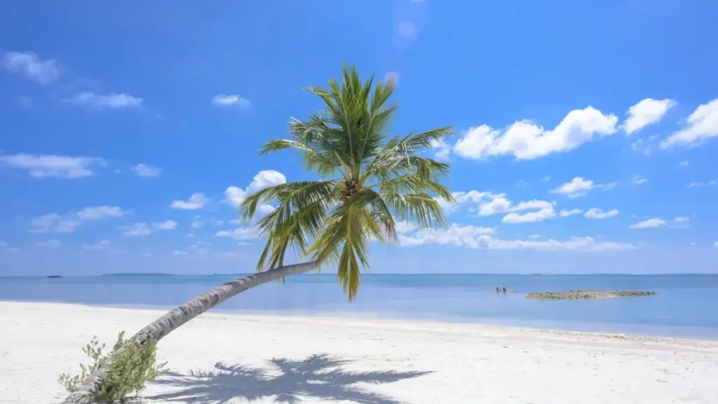 Guide simple pour créateurs ivoiriens : atteindre marques bosniennes sur Amazon et booster revenus contenu.