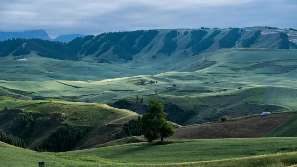 Sinsɛbɛlu pour les annonceurs en Côte d'Ivoire: comment repérer et engager des créateurs belges sur Bilibili pour pousser vos promos saisonnières.