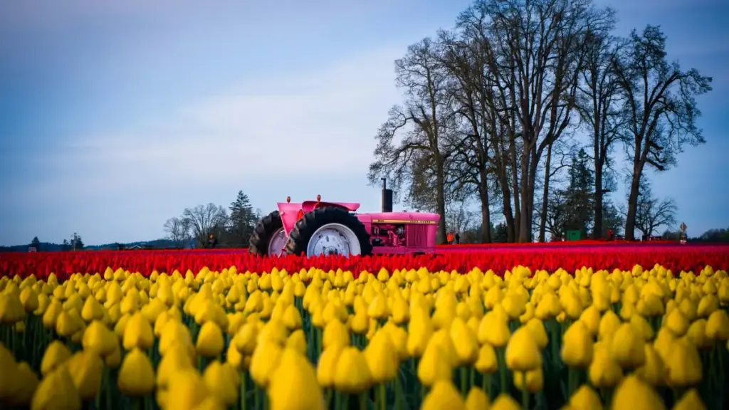 "Guide pratique pour annonceurs en Côte d'Ivoire : comment repérer créateurs boliviens sur Xiaohongshu, les sélectionner et transformer followers en acheteurs."