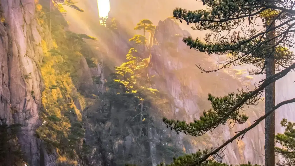 Guide pratique pour marques en Côte d'Ivoire — comment identifier et collaborer avec créateurs canadiens sur eBay pour booster exposure d'équipement de voyage via UGC.