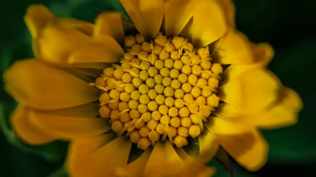 "Guide pratique pour annonceurs en Côte d'Ivoire: comment dénicher créateurs malaisiens liés à HBO Max pour toucher audiences niches."