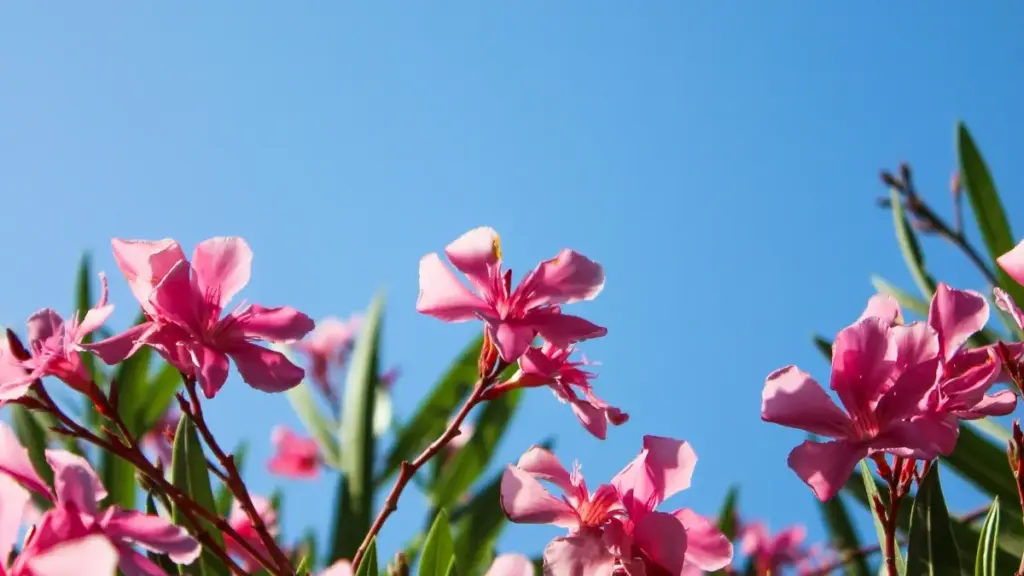 "Guidé pratique pou annonceurs en Côte d'Ivoire: manɛn yɛrɛ ka fila Netherlands Zalo créateurs, bolon plan kampagnɛ creator-led pou durabilité."