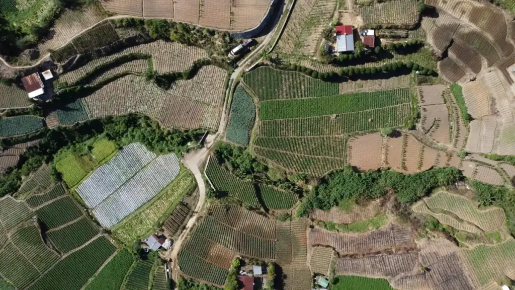 Guide pratique pour annonceurs en Côte d'Ivoire — comment repérer et engager créateurs russes sur Bilibili pour lancer jeux mobile.