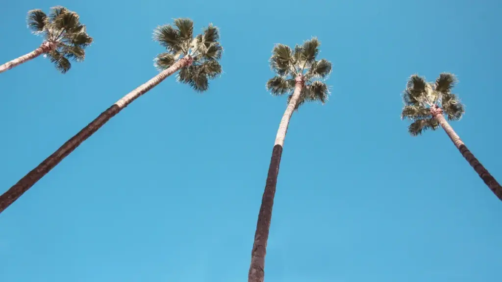 Guide pratique pou créateurs en Côte d'Ivoire: comment contacter marques UK su Line pou kolabore su giveaways, pitch, règles, étiquette, échantiyon et VPN.