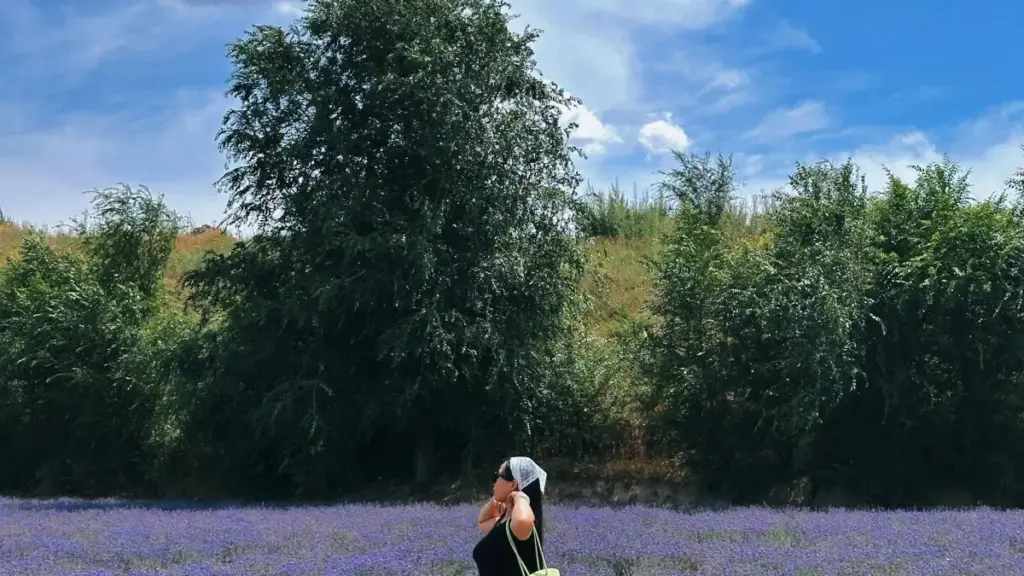 "Guides pratiques pou yiɛra Ivorien ka fɔlɔ sigi Australia brands ka jɔn na QQ ni bɔnsogo sponsored tools."